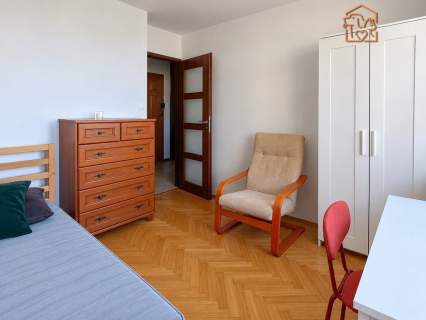 3 pokoje naprzeciwko PL, pet-friendly-Nowomiejska