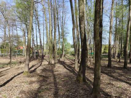 Działka budowlana na sprzedaż, 10904 m2, Anielin Swędowski