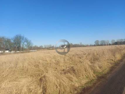 Działki w Łagodzinie, 100 m od lasu - 90 zł/m2