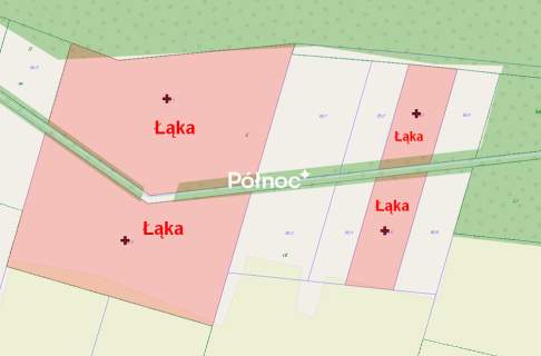 Łąka i las w Cieleśnicy