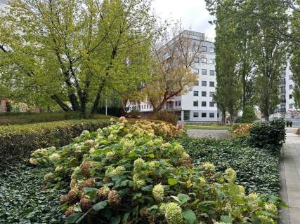 Nieruchomość komercyjna do wynajęcia, 455 m2, Warszawa