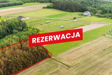 Działka leśna Łęki Dolne - gm. Pilzno