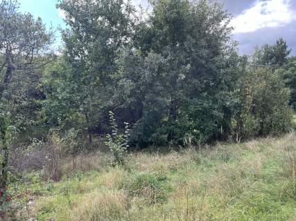 Działka 1441 m2 prze drodze 747 w Lipie Miklas.