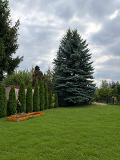 Działka ROD 300m2