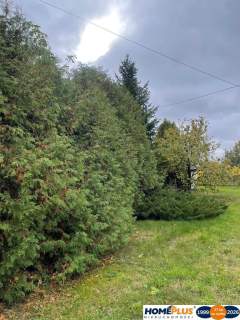 1,84 ha pod zabudowę mieszkaniowo-usługową, Ciemne.