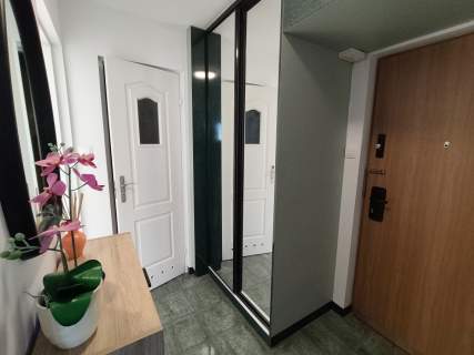 Śródmieście 2 pok. mieszk po kap.remoncie za 2950