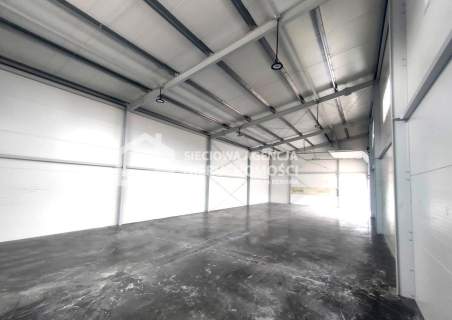 Hala - Dębogórze