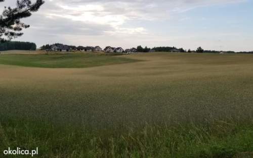 Przy samym LESIE - NAD JEZIOREM 500 m - Skarszewy - GDAŃSK