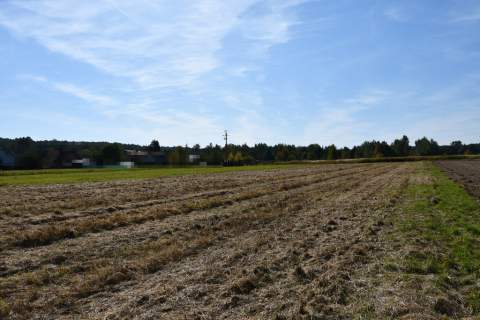 Działka rolno-budowlana 43a - Strażów