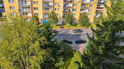 Kawalerka w dobrej lokalizacji blisko lasu - Borne