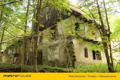Kamienny młyn w sąsiedztwie SPA - Długopole-Zdrój