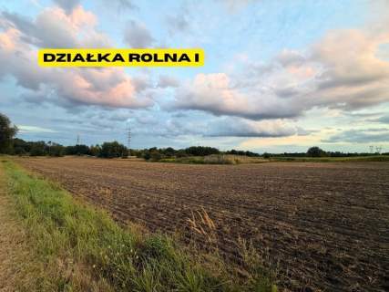 Działki rolne 2.63 ha Chełm Śląski NJ INVESTMENT