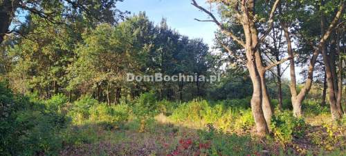 Działki budowlane Bratucice Licytacja 22 X