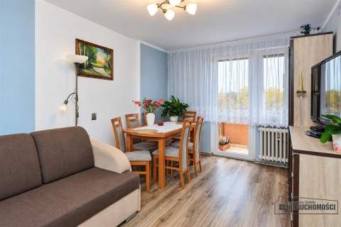 3 pokojowe mieszkanie w poszukiwanej lokalizacji