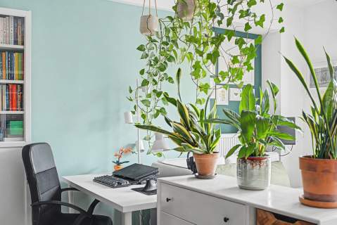 49,90 m z dużą garderobą Balkon Garaż Las
