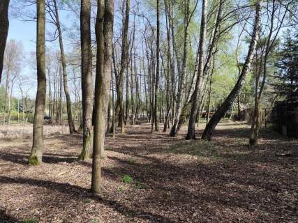 Działka budowlana na sprzedaż, 10904 m2, Anielin Swędowski