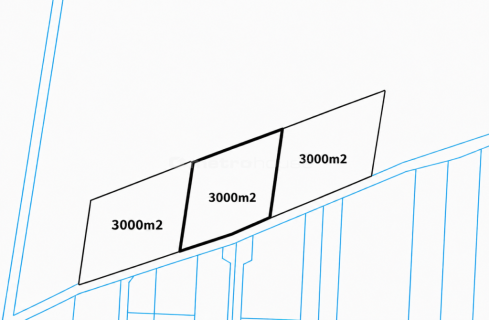 3000 m2. - idealna działka aby postawić dom. WZ