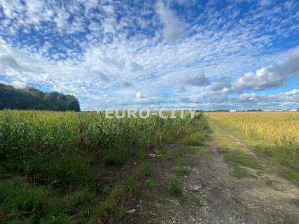 Mały dom wolnostojący- 3 km za Oporowem