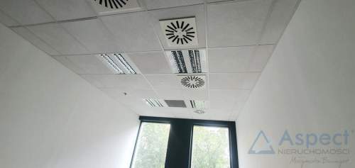 Biuro do wynajęcia, 150 m2, Szczecin