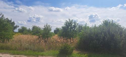 Lasy, jeziora, natura. Warunki zabudowy.