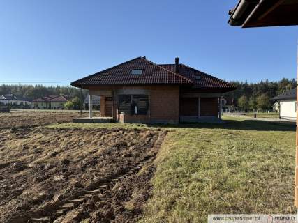 Dom, 250 m2, Gołęczyna, gm. Pilzno