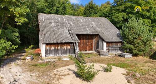 DZIAŁKA 7024 m FUNDAMENTY-PRZY LESIE-ZDZIECI NOWE