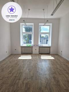 Lokal na usługi lub gastro, przy parku