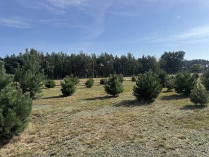 Działka na sprzedaż, 988 m2, Gniezno