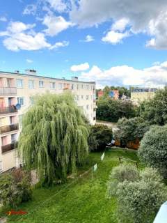 49,10 m 2 pokoje balkon osobna kuchnia dużo zieleni za oknem