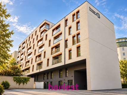 Lokal w Wildzie blisko centrum