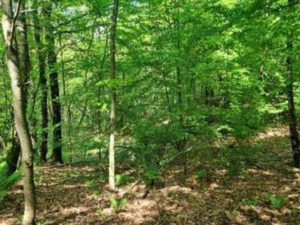 Konkurs ofert pow. 70 m2 4 pokoje