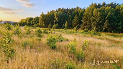 Mosty 147 m 5 pokoi garaż ogród Błękitna Mila