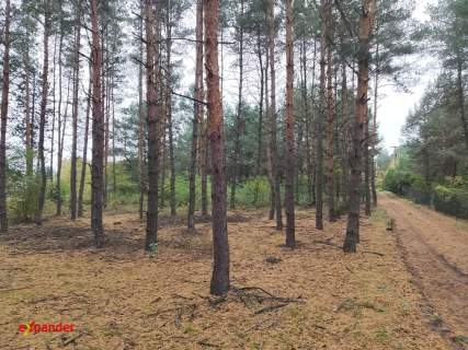 Sąsieczno działka budowlana z WZ 1143 m2 spokojna okolica obok...