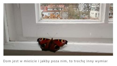 Dwupoziomowe mieszkanie w Górnym Sopocie
