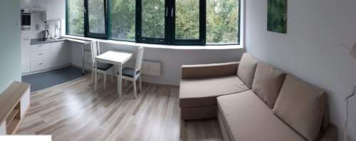 30 m nad Wartą widok na zieleń