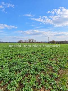 Działka inwestycyjna na sprzedaż, 40000 m2, Międzyrzecze Dolne