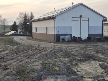 Kompleks budynków gospodarczych po pieczarkarni