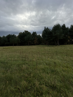 Zielona enklawa pod Wrocławiem, 1000 m, Prąd, MPZP