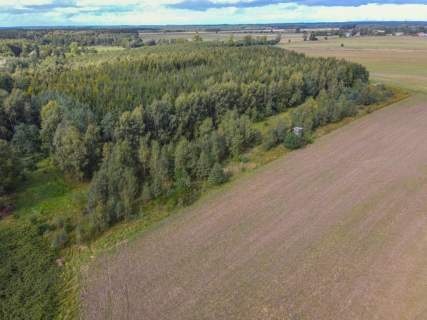 Działka rolna na sprzedaż, 5000 m2, Białogórzyno