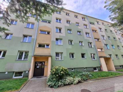 3 pokojowe mieszkanie na wynajem na os. Kmiecie