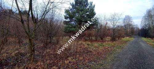  Działka Budowlana 1303 m Budy Grzybek 