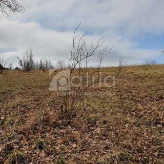 Działka- 3644 m2 nad jeziorem z warunkami zabudowy