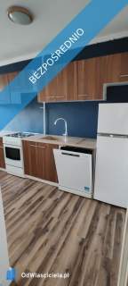 Do wynajęcia mieszkanie 2 pokoje z balkonem 49m2 Os. Tysiąclecia...