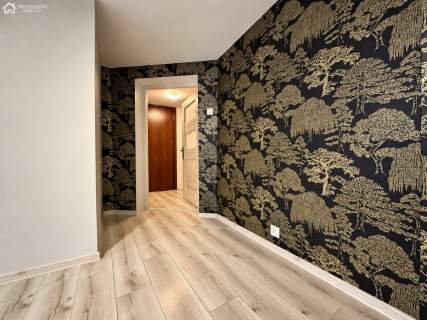 Lokal 25,2m piwnica Gliwice