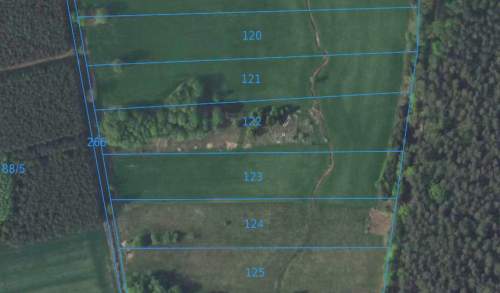 Działka 1,35 ha, Luboradów wśród lasów, Milicz