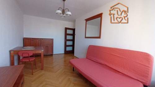 3 pokoje naprzeciwko PL, pet-friendly-Nowomiejska