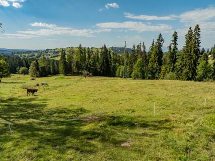 Sierockie - działka 5901m2 - WZtka 4 domy