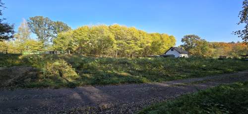 DZIAŁKA BUDOWLANA 1623 m MPZP, MEDIA, PRZY LESIE NOWY Ś
