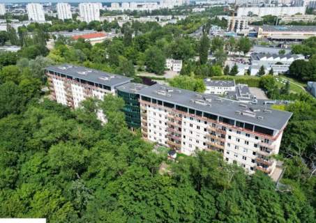 30 m nad Wartą widok na zieleń