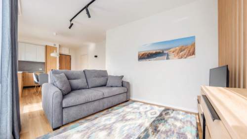 Apartament z 1 sypialnią, Kuracyjna 5/2